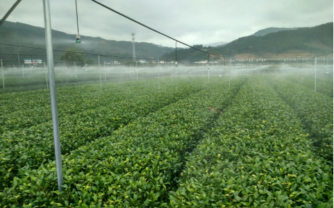 無線智能灌溉設備