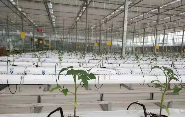 種植物聯(lián)網(wǎng)設備